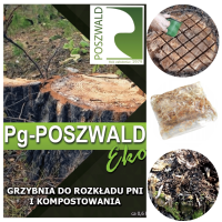 Grzybnia do Rozkładu Pni PG Poszwald Eko do Drzew 0,6