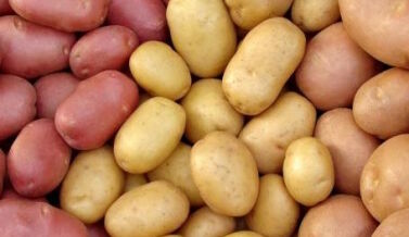 Ziemniaki sadzeniaki