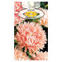Aster peoniowy Łosoś 1g