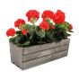 Szara drewniana skrzynka na kwiaty i zioła z wkładem 40x18x15 cm