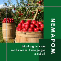 Nemapom® Nicienie do biologicznego zwalczania larwy owocówek na 5L wody wystarczy na 3 drzewa