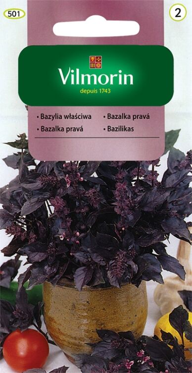 Bazylia właściwa czerwonolistna 0.5g Vilmorin