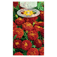 Aksamitka rozpierzchła Carmen 1g