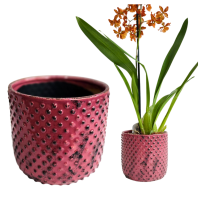 Osłonka ceramiczna różowa 13×14 cm – elegancka dekoracja doniczki