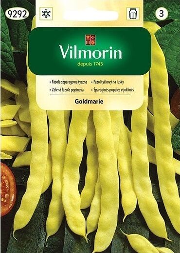 Fasola szparagowa tyczna Goldmarie 10 g
