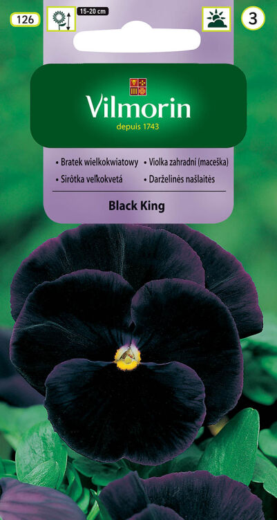 Bratek Ogrodowy Wielkokwiatowy Szwajcarski Black King Ciemno-Fioletowo-Czarny (VIOLA WITTROCKIANA) 0,3g/Opak
