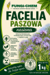 Facelia błękitna 1 kg poplon zielony nawóz roślina miododajna - 2