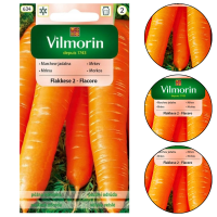 Marchew Flakkese 2 Flacoro 5g Vilmorin Późna Plenna