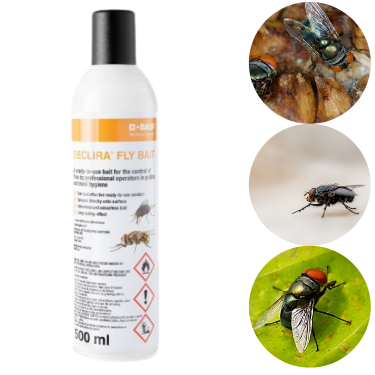 Seclira Fly Bait 500 ml spray – szybka i dyskretna przynęta na muchy