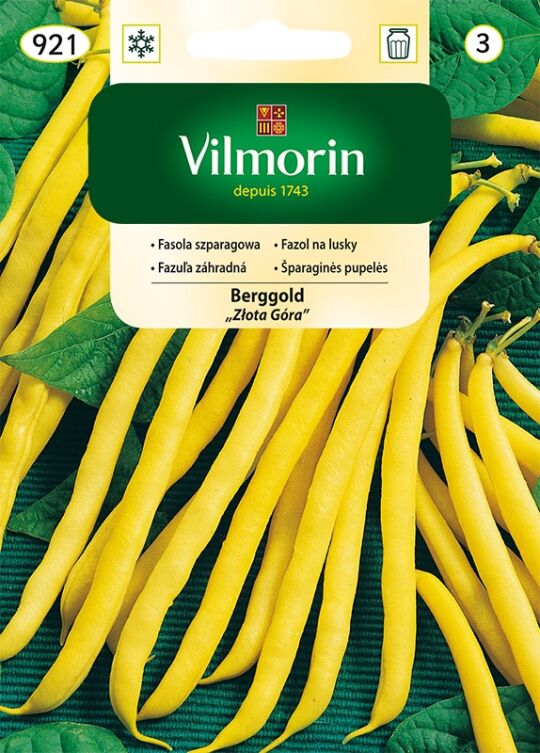  Fasola szparagowa Berggold Złota Góra 30g