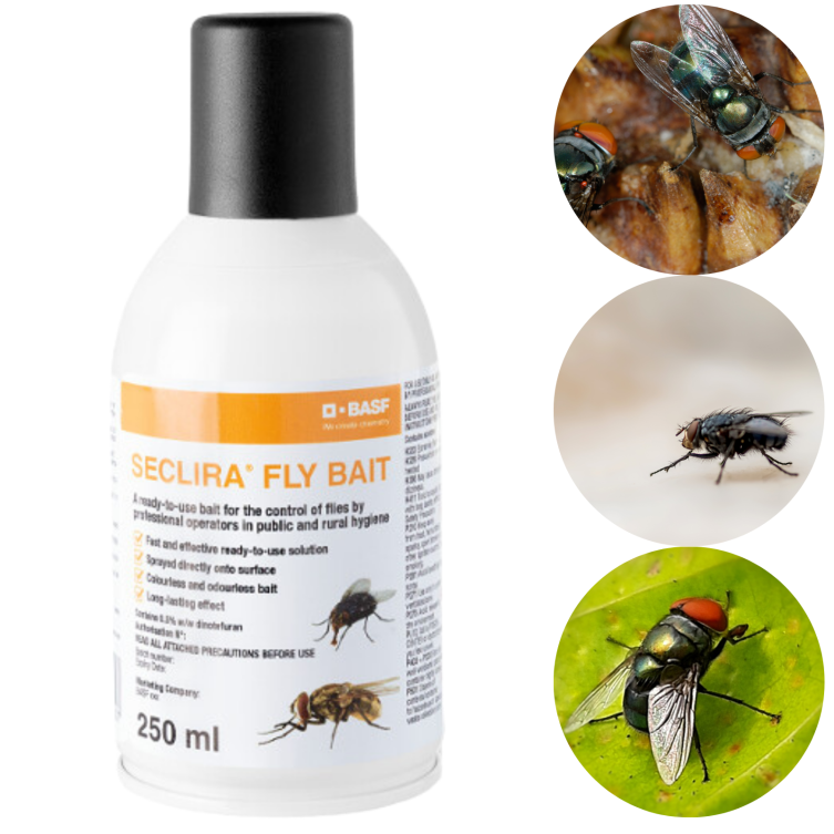 Seclira Fly Bait 250 ml spray – szybka i dyskretna przynęta na muchy