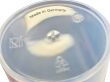 Naczynie pomiarowe 3000ml firmy Vitlab Germany - 2