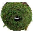 Ozdobny domek dla ptaków z trawy i mchu 21×21×26/42 cm – naturalny domek na łańcuszku - 4