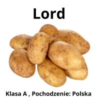 Ziemniaki sadzeniaki Lord - PL, Klasa A, kal. 35-55mm, opakowanie  25 kg
