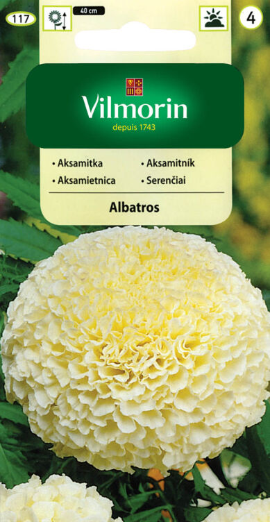 Aksamitka Wzniesiona Niska Pełna kremowo-biała Albatros  (TAGETES ERECTA NANA FL.PL.) 0,2g