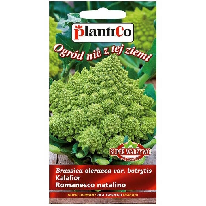Kalafior Romanesco Natalino 0,2g PlantiCo zielony