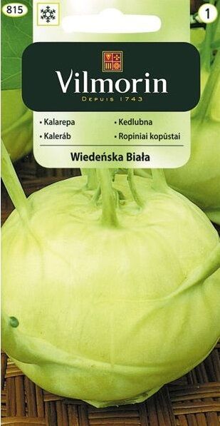 Kalarepa biała wczesna Wiedeńska 2g Vilmorin