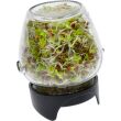 Kiełkownica słoikowa Twist-off + nasiona BROWIN 745747 580 ml - 2