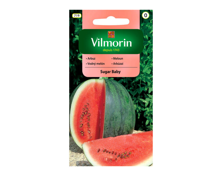 Arbuz Sugar Baby Vilmorin 1g (719)