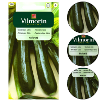 Cukinia Nefertiti 2g Vilmorin Ciemnozielona Plenna