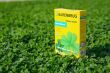 Koniczyna drobnolistna Lawn Clover 500 g · Samonawadniająca murawa - 5