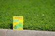 Koniczyna drobnolistna Lawn Clover 500 g · Samonawadniająca murawa - 4