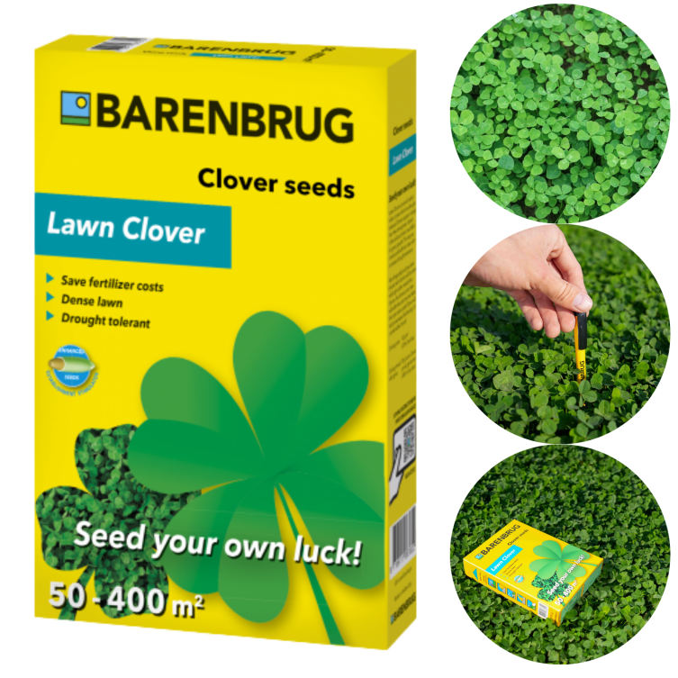 Koniczyna drobnolistna Lawn Clover 500 g · Samonawadniająca murawa