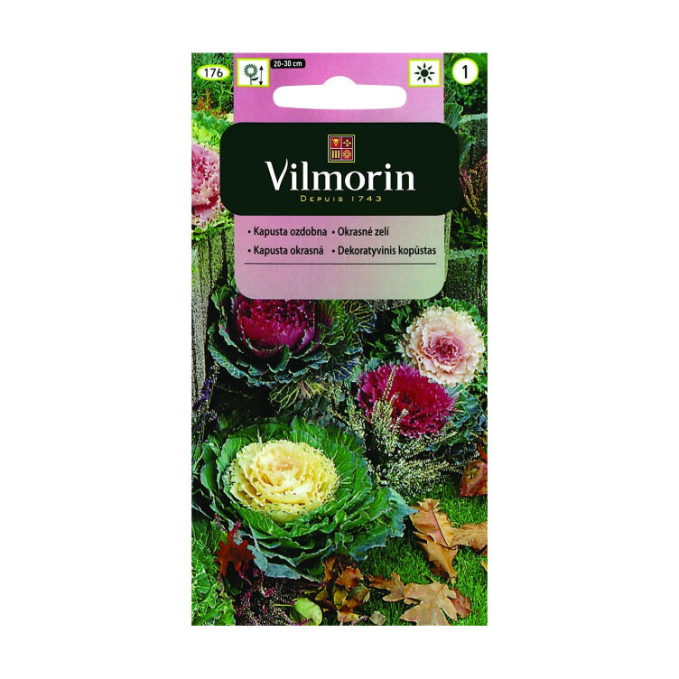 Kapusta ozdobna 0.1g Vilmorin