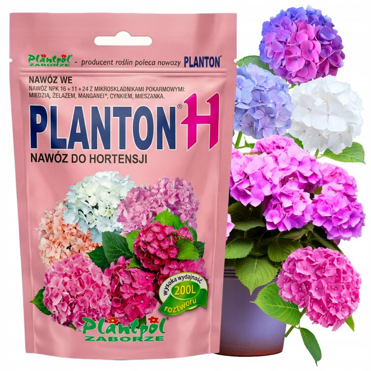 Planton H nawóz do hortensji 200 g rozpuszczalny NPK Plantpol