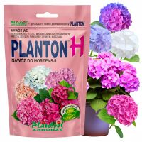 Planton H nawóz do hortensji 200 g rozpuszczalny NPK Plantpol