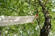 Lep na muchy w rolce Eco, 25 cm x 10 m, Kerbl - 6