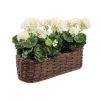 Balkonówka wiklinowa skrzynka balkonowa 50x22x15 cm z folią