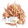 Cebula dymka szalotka Zebrune 250 g 5–25 mm do sadzenia - 2