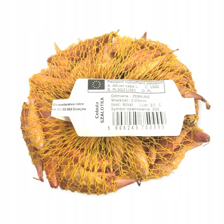 Cebula dymka szalotka Zebrune 250 g 5–25 mm do sadzenia