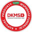 Pułapki Lepowe Na Szkodniki 10 szt. - 2