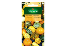 Dynia ozdobna Tykwa mix 5g 