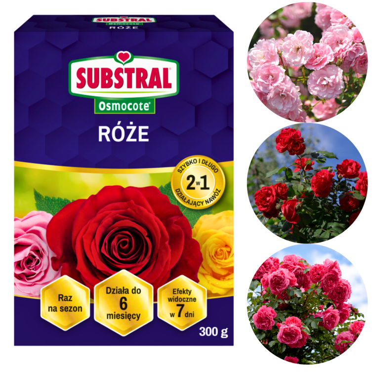 SUBSTRAL Osmocote 2w1 do Róż 300g