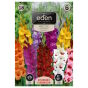 Mieczyk mix 18 szt. Vilmorin bulwy 10/12 Gladiolus