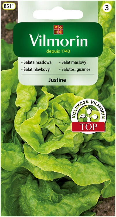 Sałata masłowa Justine 0,5g