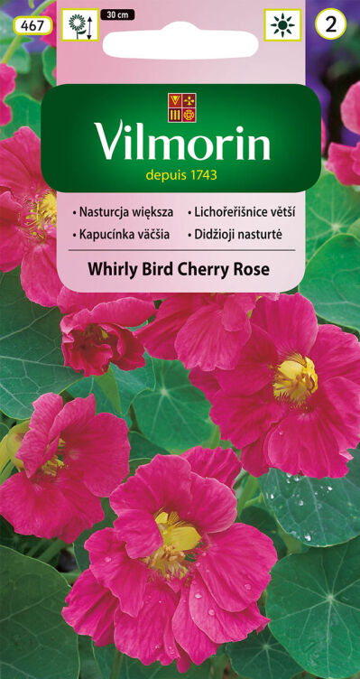 Nasturcja większa Whirly Bird Cherry Rose 3g