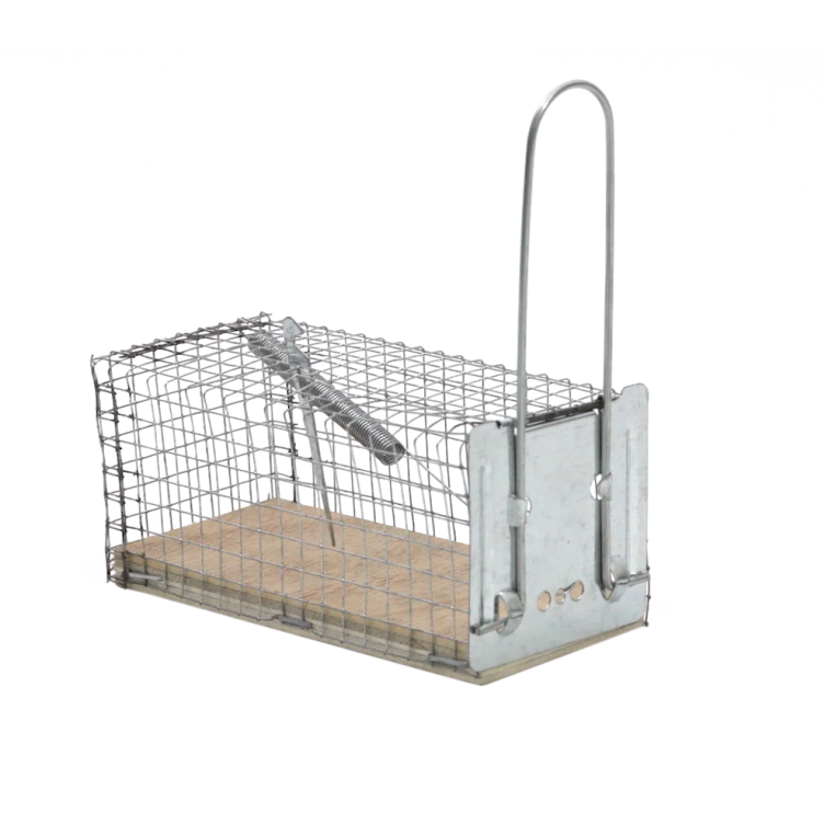 Żywołapka druciana na myszy Protect Home
