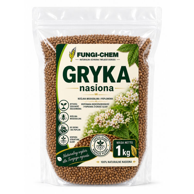 Gryka 1 kg nasiona na poplon roślina miododajna materiał paszowy