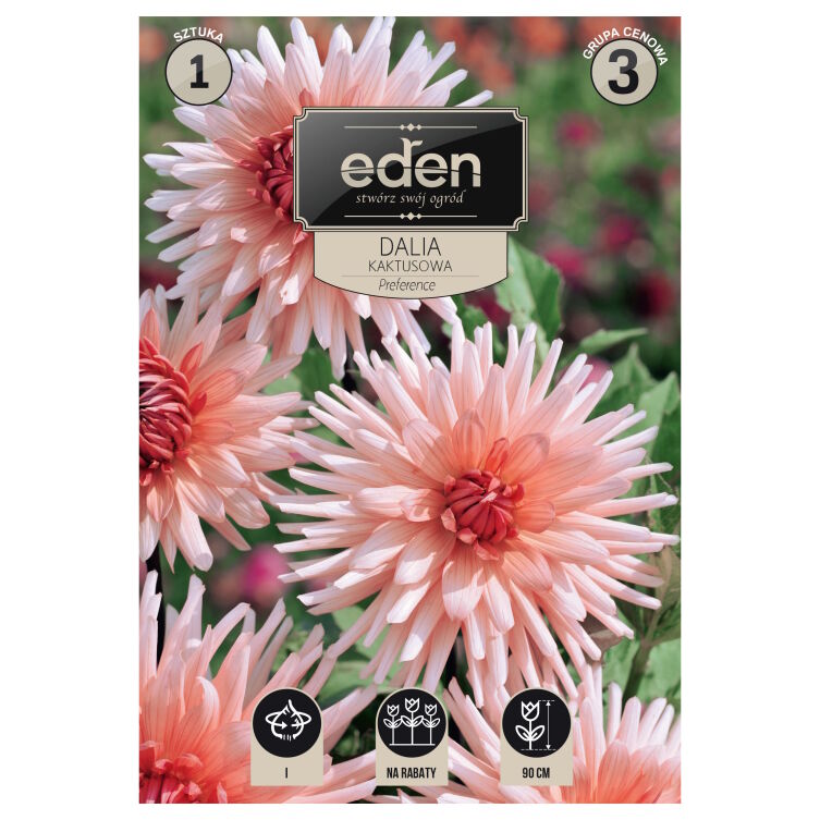 main