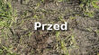 Trawa samo zagęszczająca Renowacyjna 3kg Substral NOWOŚĆ - 3