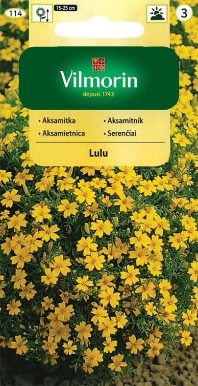 Aksamitka wąskolistna cytrynowo-żółta Lulu 0.5g Vilmorin