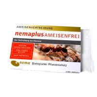 Nemaplus® Przeciw mrówkom do powierzchni 50 m² 50 milionów nicieni
