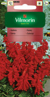 Szałwia błyszcząca czerwona (SALVIA SPLENDENS) 0,5g