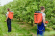 Opryskiwacz Naptun EL Elektryczny 15 L - 4