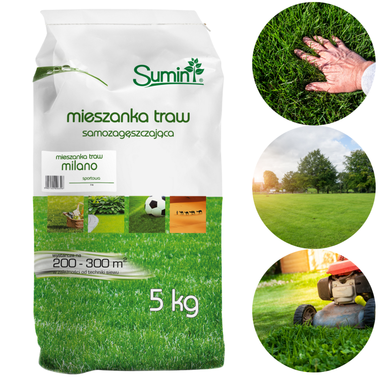 Mieszanka traw uniwersalna PIKNIK 5 kg