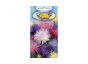 Aster igiełkowy – Karłowy – mix 0.5g